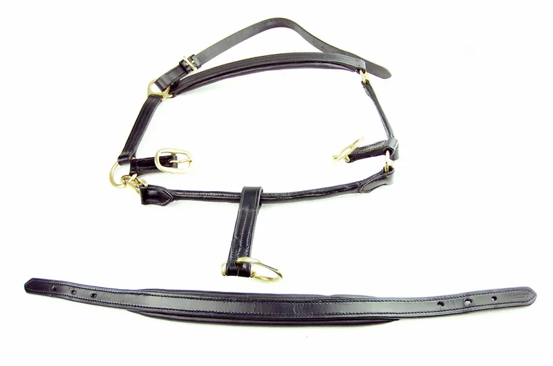 Dever Ascot Padded Leather Head Collar Black-1